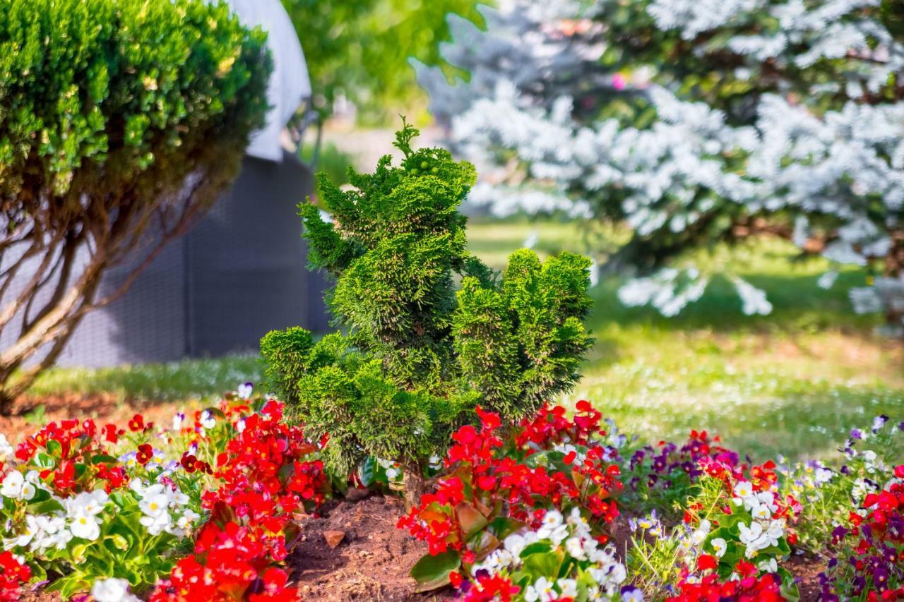 Garden Paradise App Sveti Vid-Miholjice Экстерьер фото
